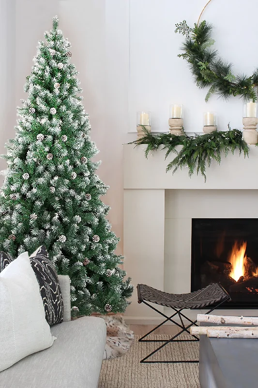 Frosted Oregon Fir with Snow Dusted Pine Cones