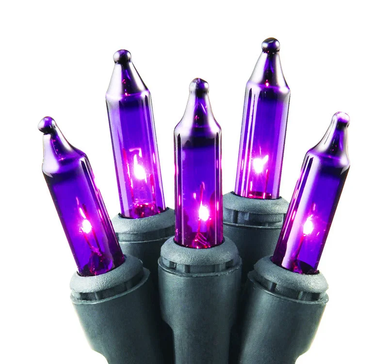 Celebrations Purple 100 ct Incandescent String Lights